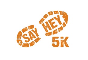 North East 5k Steps Challenge logo