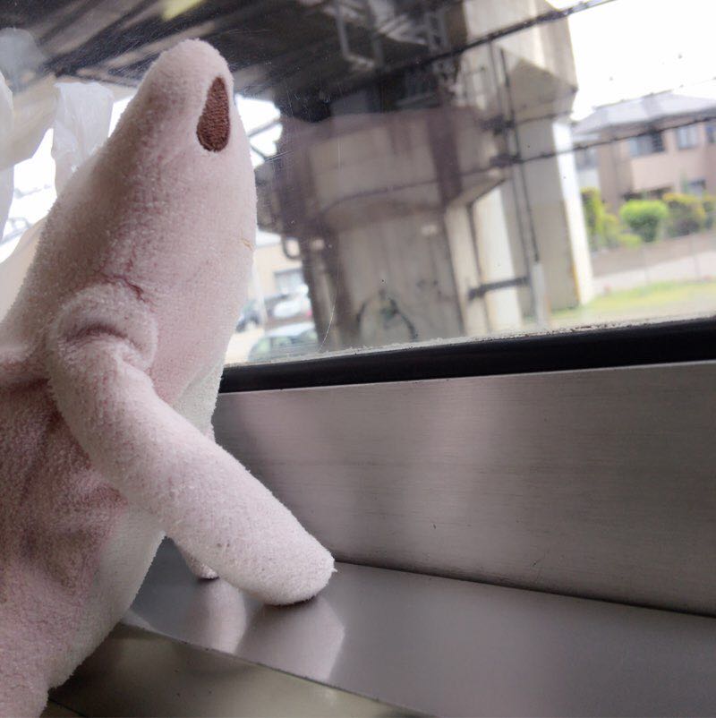 たっそ