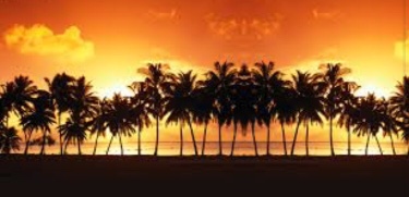 Walk for the Disney Look logo