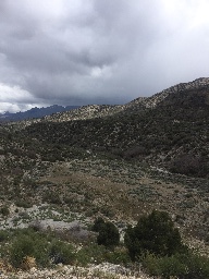 Get Stepping Las Vegas logo