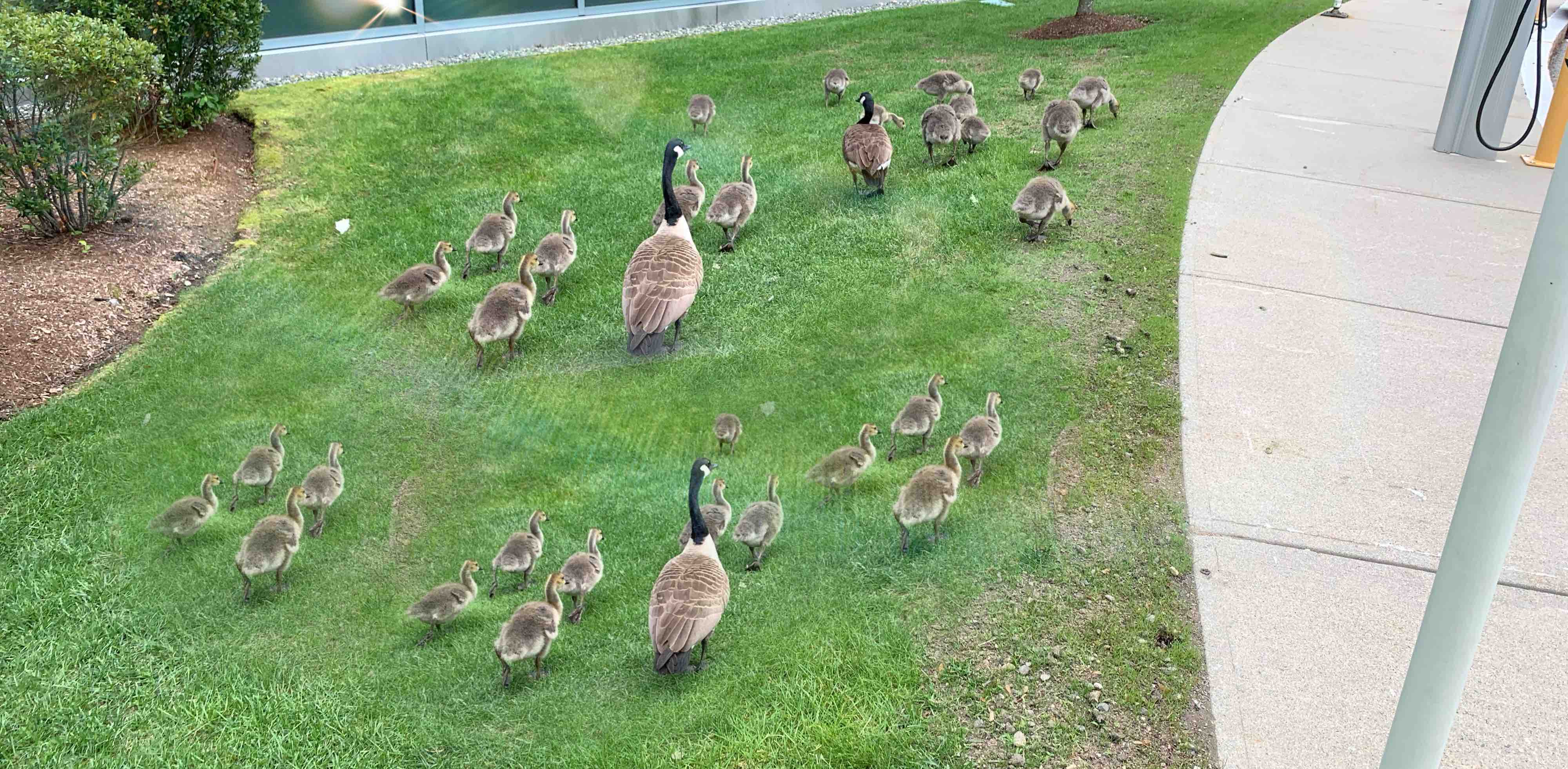 با من قدم بزن banner