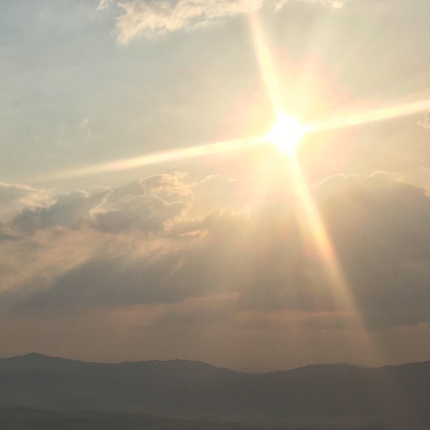 INSIEME SI PUÒ 💪🇮🇹💪 logo