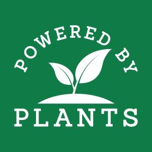 🌸🌼Sarah🌼🌸