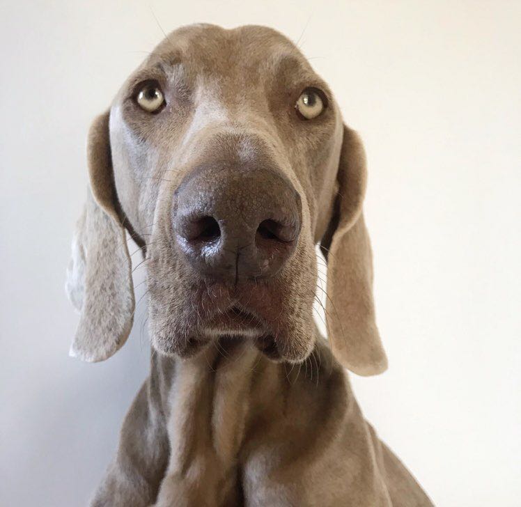 Pacer girl 63 profile