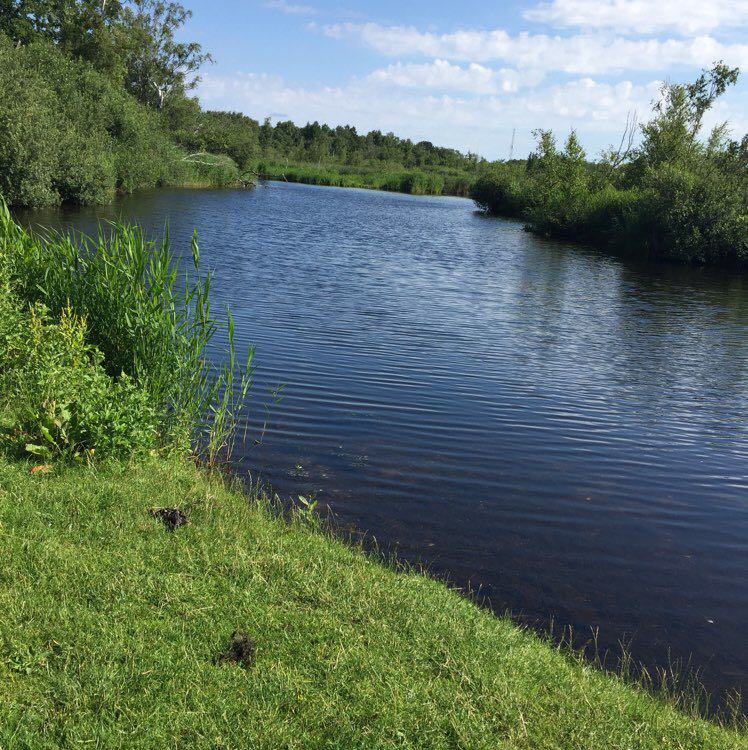 A Fassy 🇱🇰 🇲🇾 🇩🇰