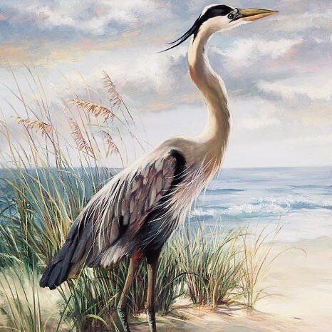 Phagwara Pacers logo