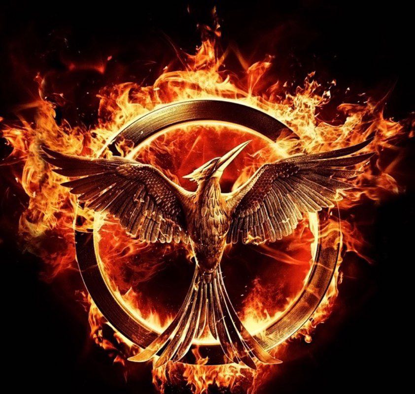 Mockingjay Back On Fire