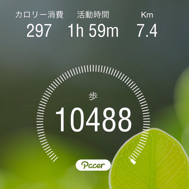 花子Hanako🏃‍♀️💦😄🌿💕 profile