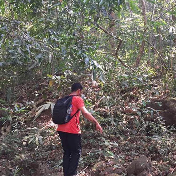 Vaisakh V Lal profile