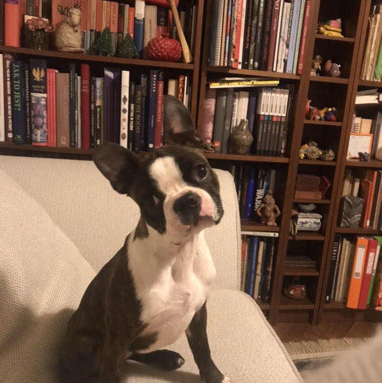 Gosia’s & Basia’s  mom