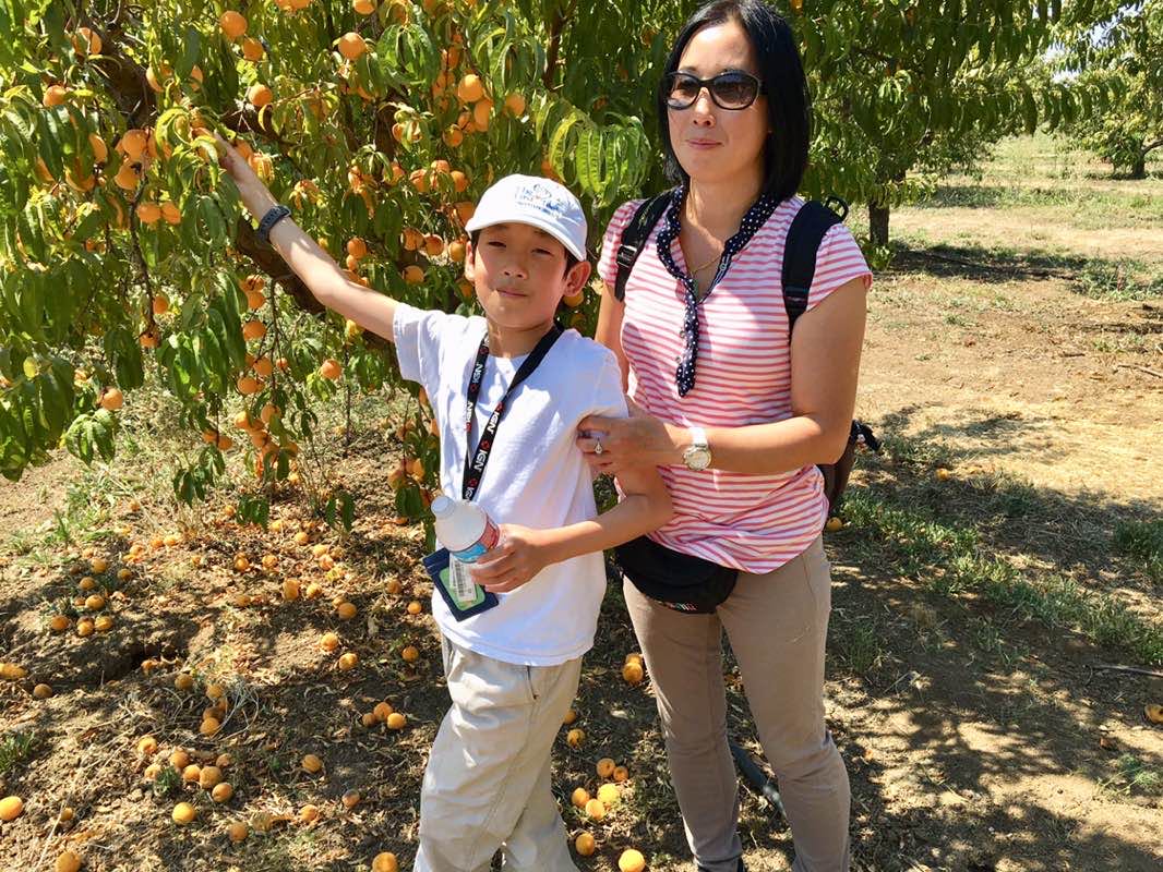 👽🏃‍♀️🛸潘寶蓮☀️❤️🌙 profile