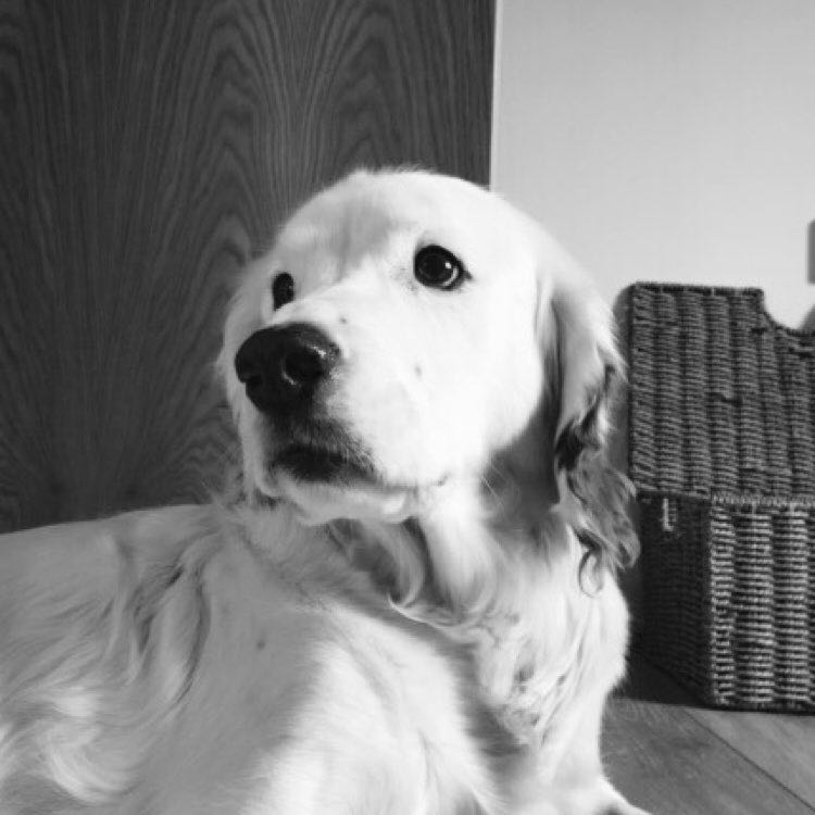 PacerGal🐾👣💞