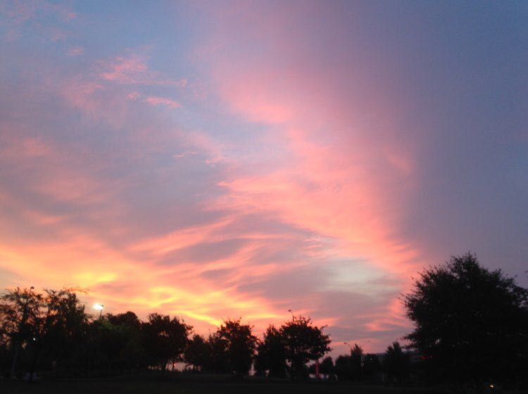 Servant-Peter_1951 profile