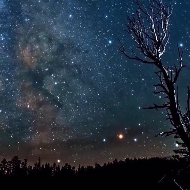 🔷Rhaymund🏋🏼‍♀️