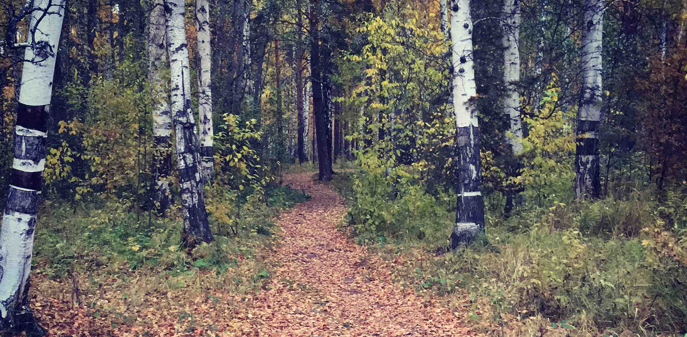 ЕКАТЕРИНБУРГ  FOREVER banner