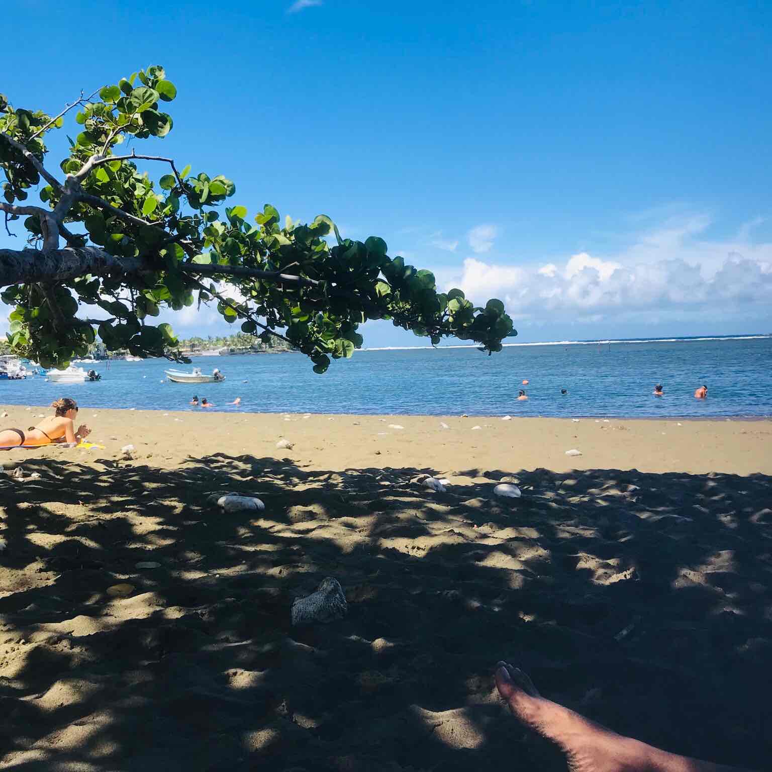 Amis de France 🏃🏽‍♀️‍➡️ logo