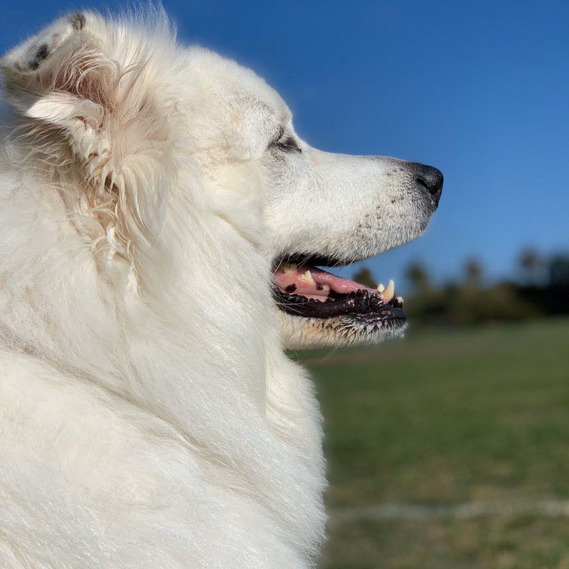 susanaobandobarquero