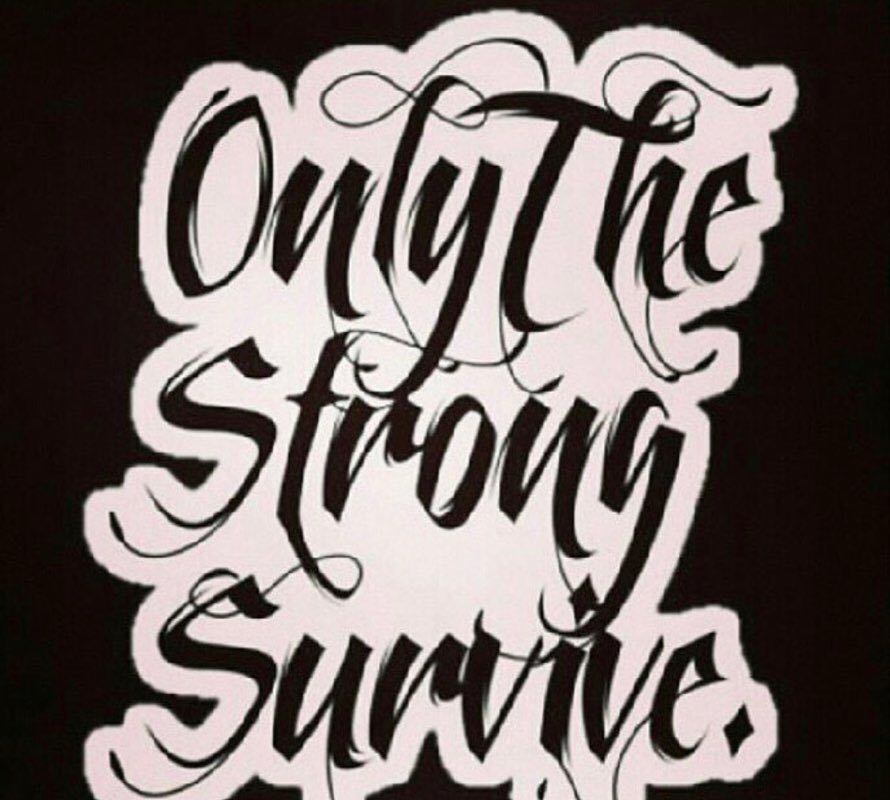 TeamMotivated profile