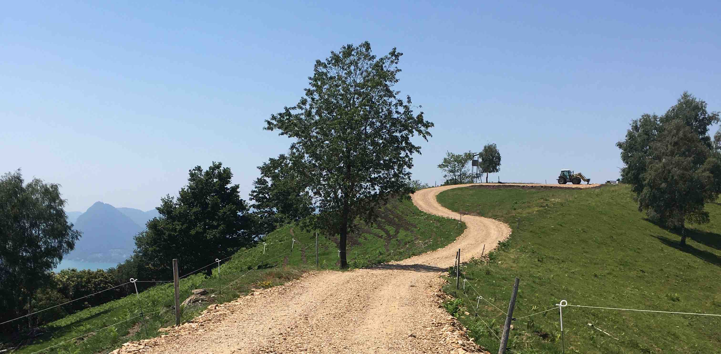 DogPacer 🐶🇨🇭 banner