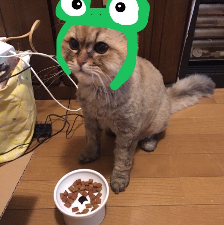 情熱キャプテン