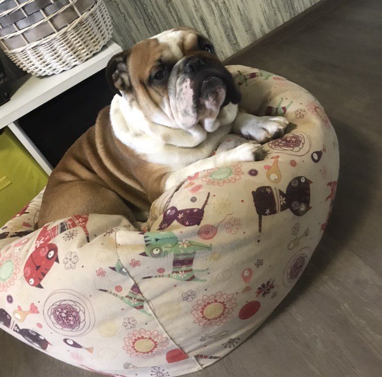 Анюта🍊🍊🍊