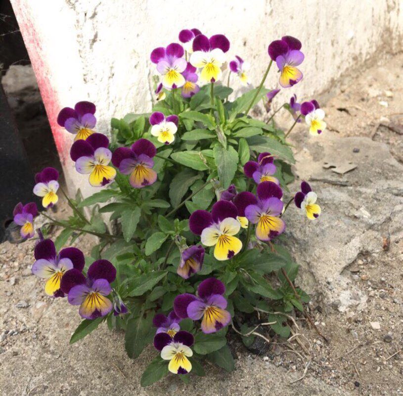 물빛 🏃🏻‍♂️