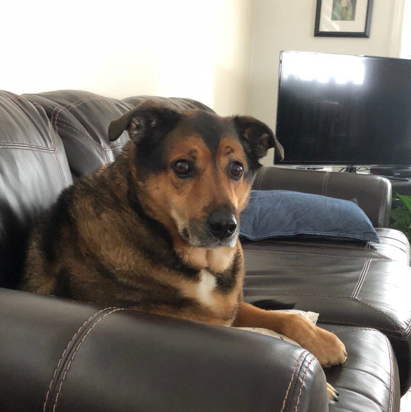 ஆதவன் 🌞