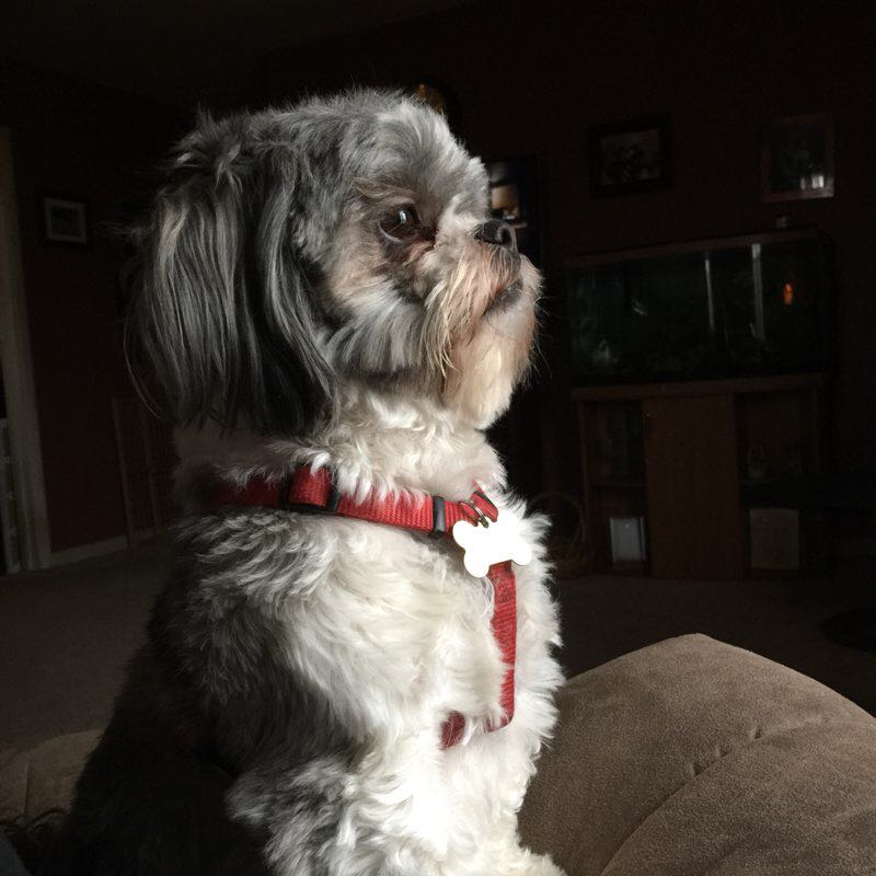 Ellen