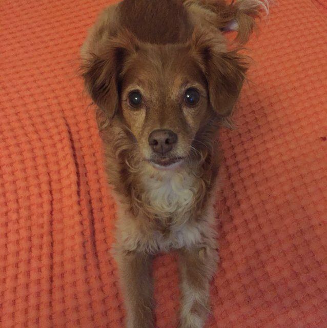 Keko👻🐣🦎🚀🌪