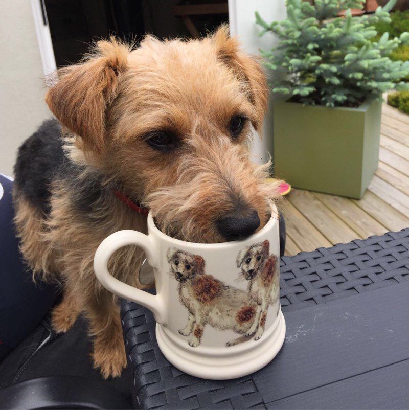 Grahamxx 🏴󠁧󠁢󠁥󠁮󠁧󠁿