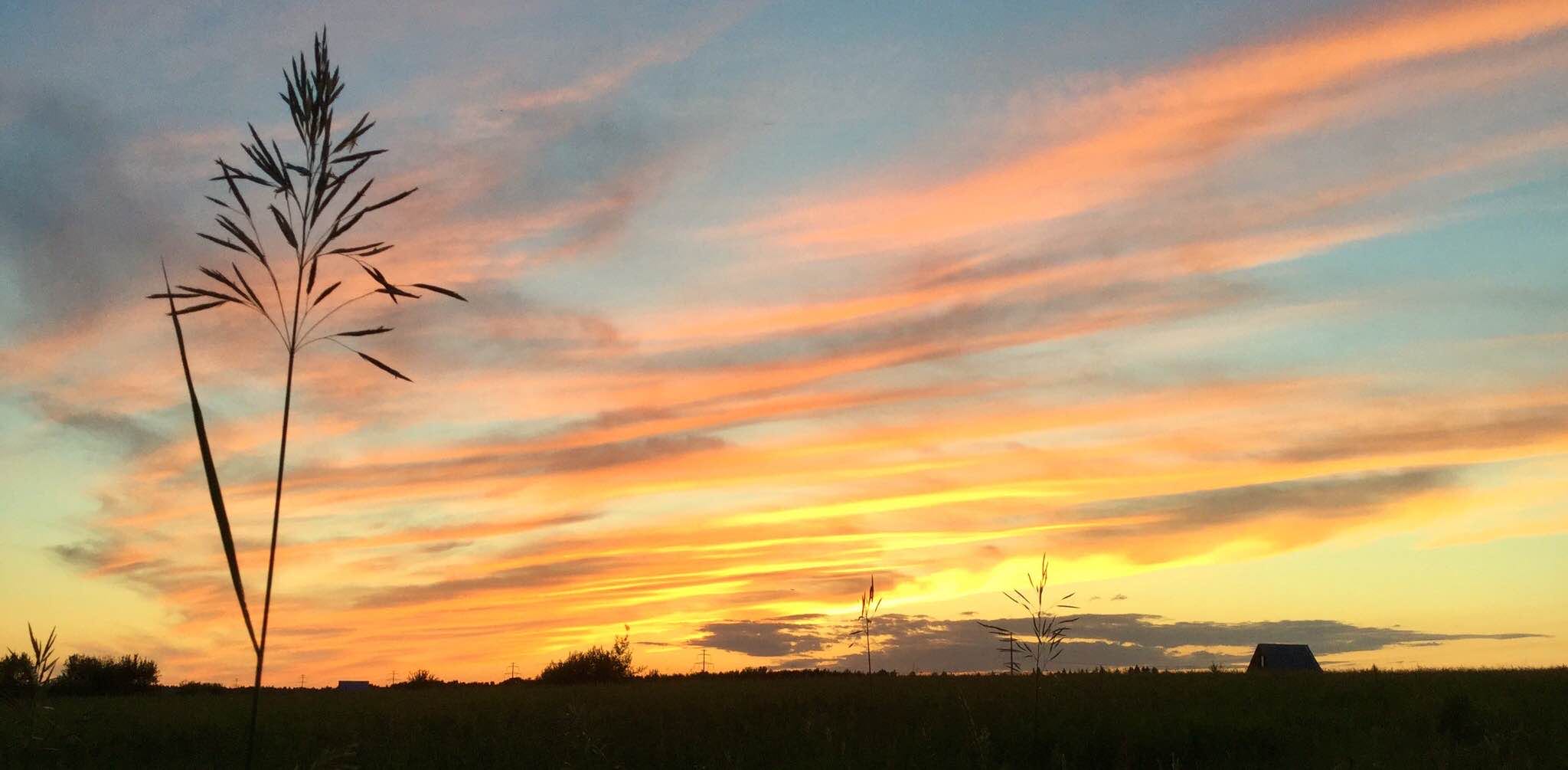 ❤️New Sbs❤️ banner