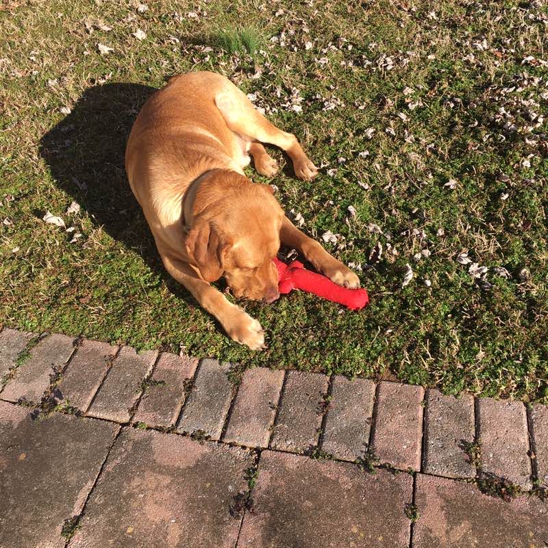 dianneb2018@outlook.com