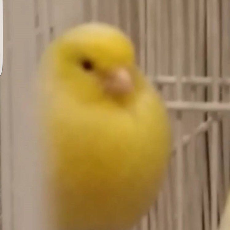 aidanorafferty