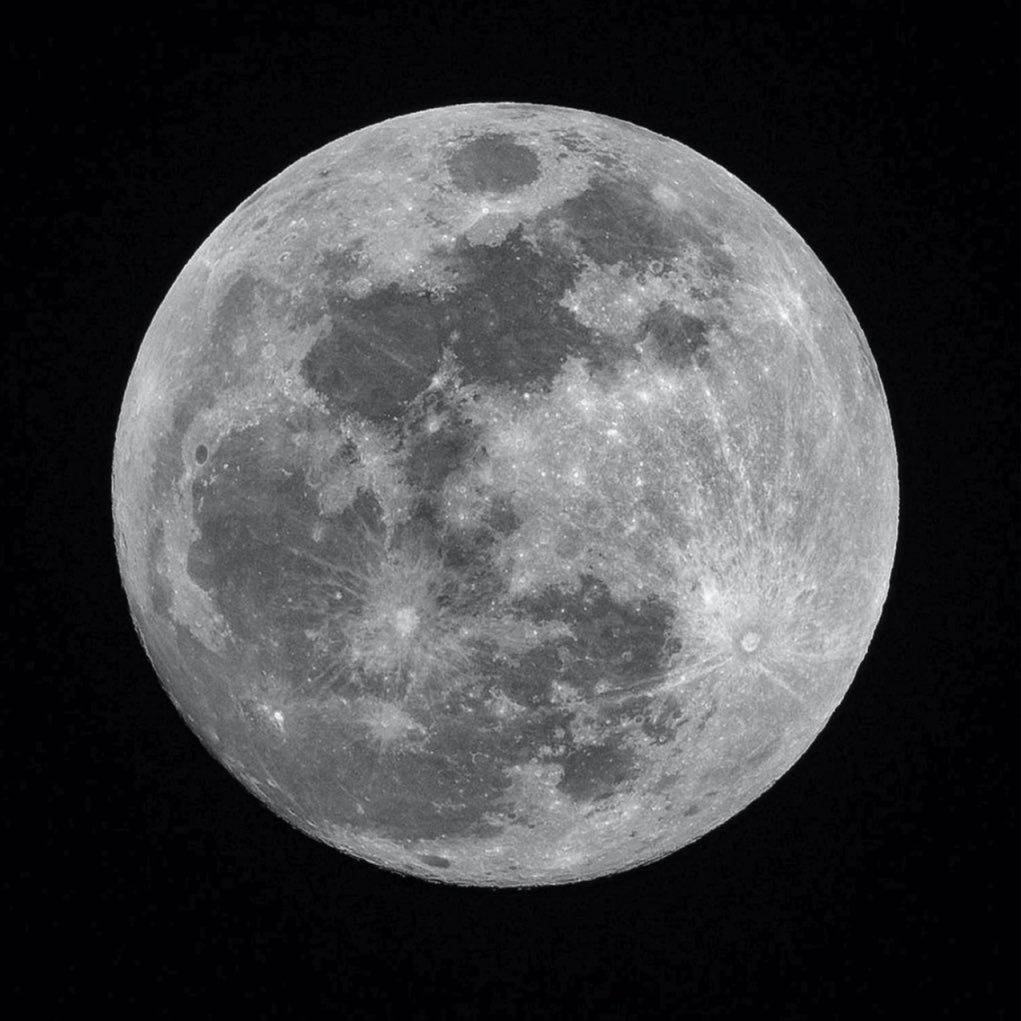 🎶 Walking on the moon... 🎶 logo