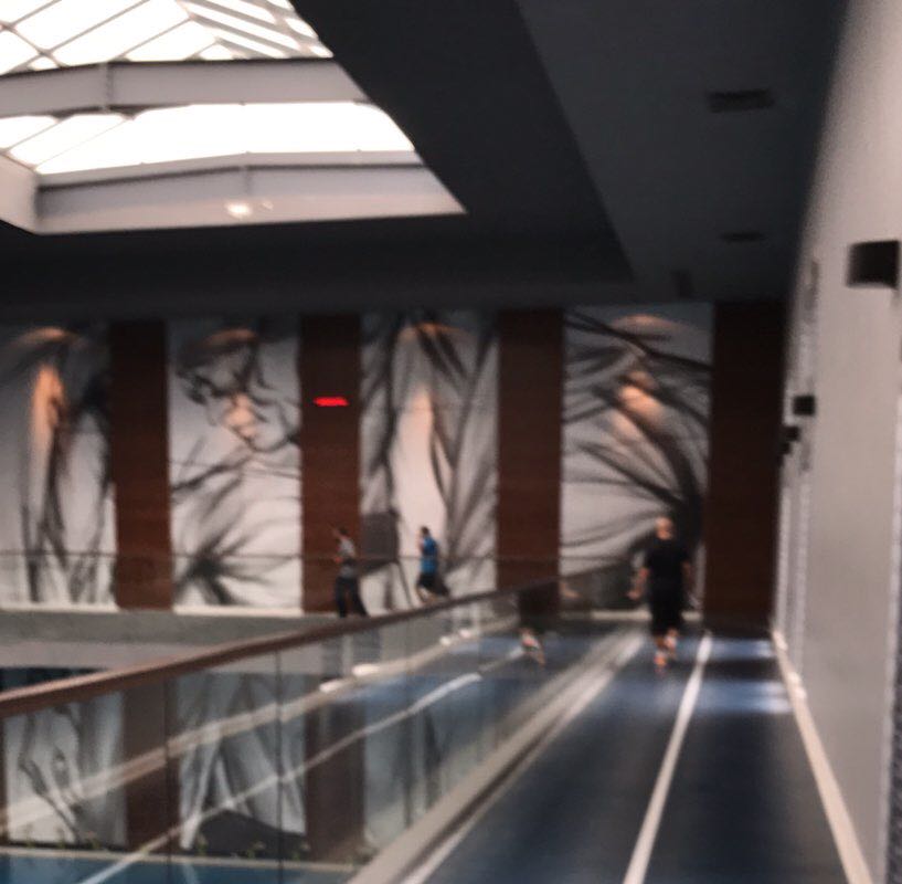 🐾 محمد  🐾 profile