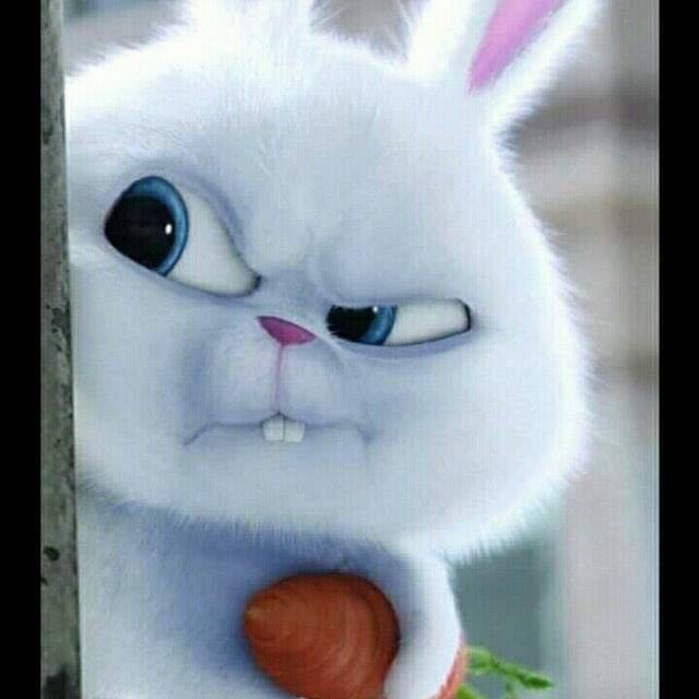 jose Rafael Vazquez Rosadp