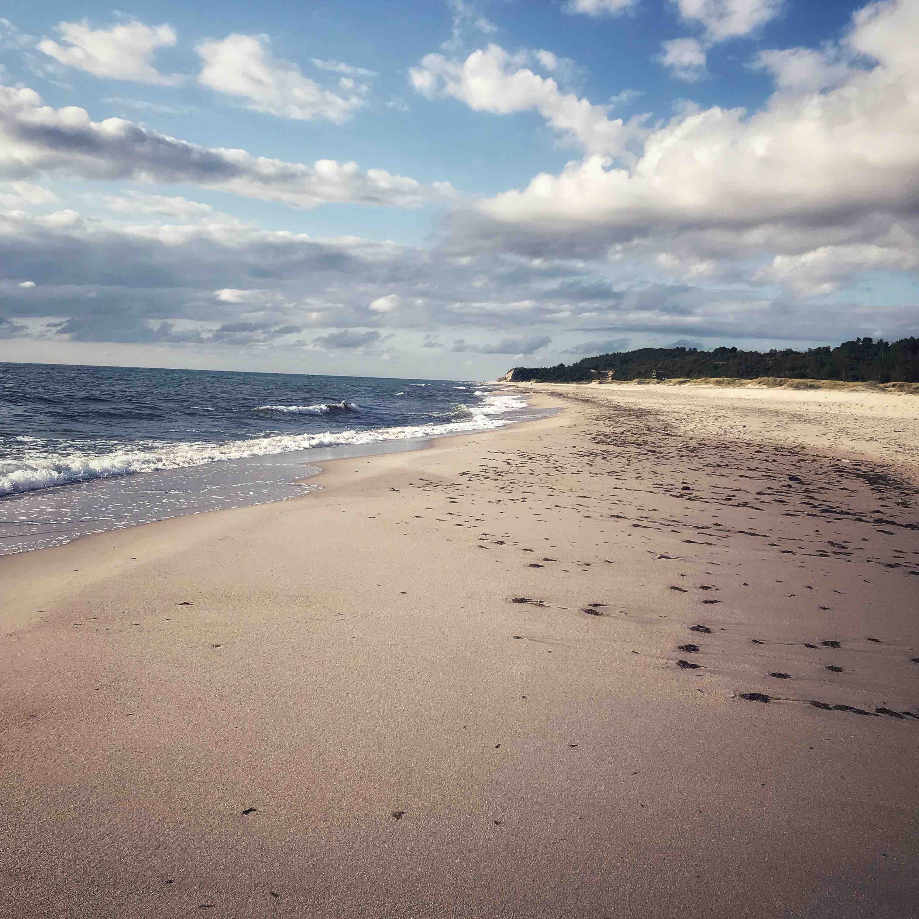 Жизнь в реальности logo