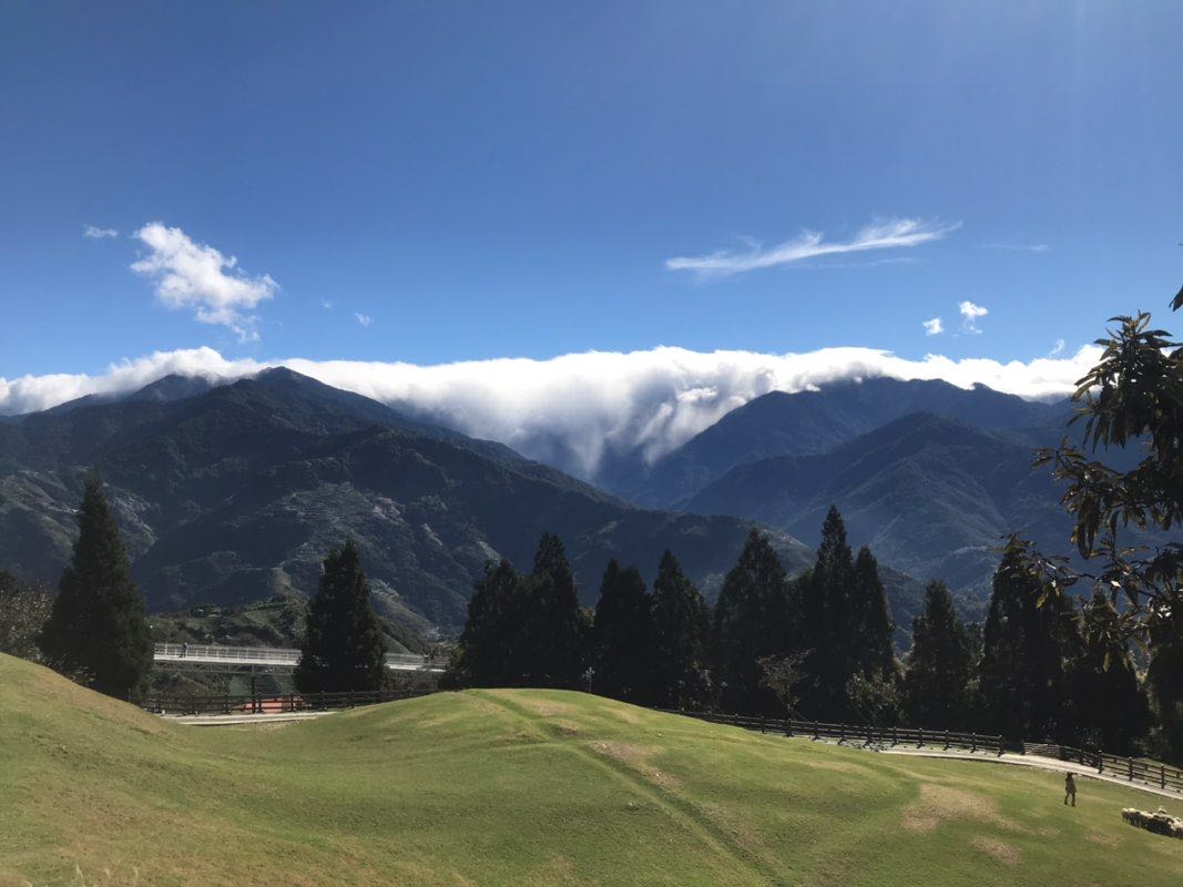 採購部：陳明月