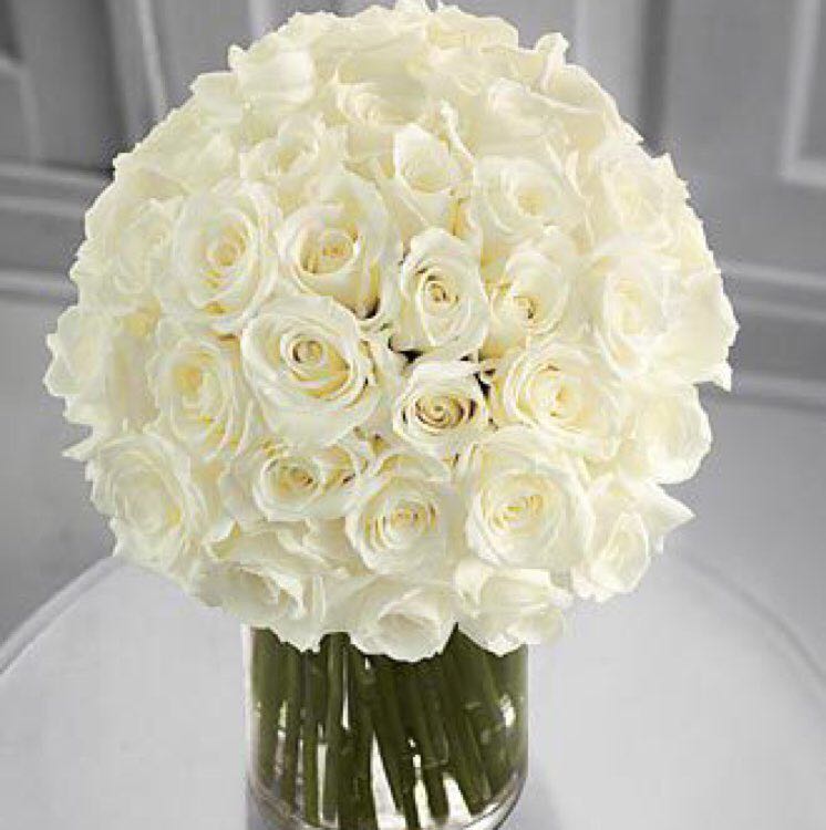 马克·亚历克斯