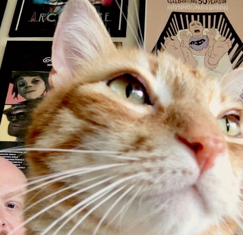 helpimbeingaggressed