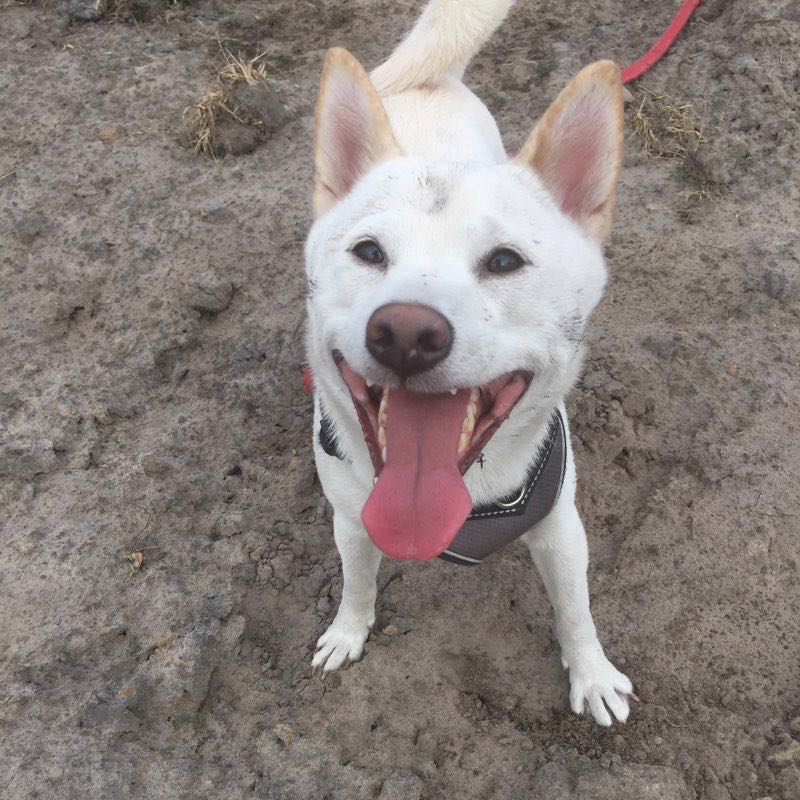 Jackie Littlefield profile