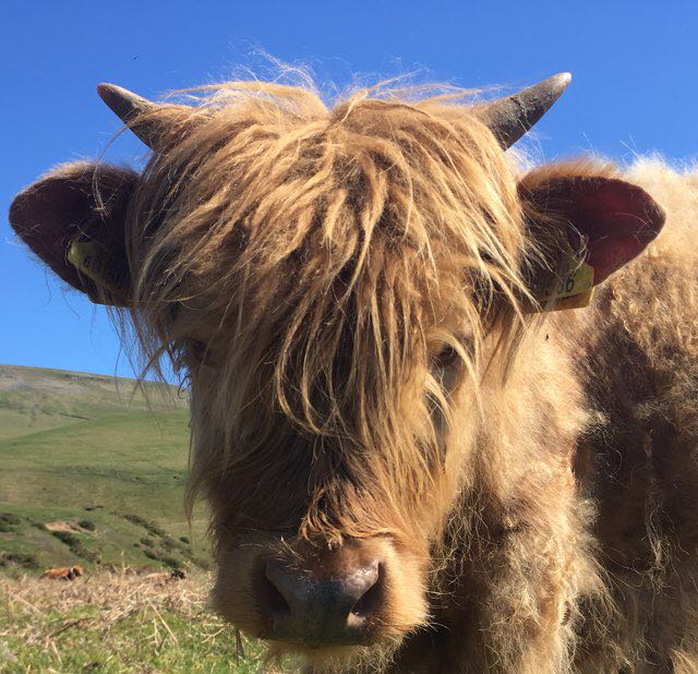 Clarabelle 🧚‍♀️🍄🌖🌈🌎🧚‍♂️