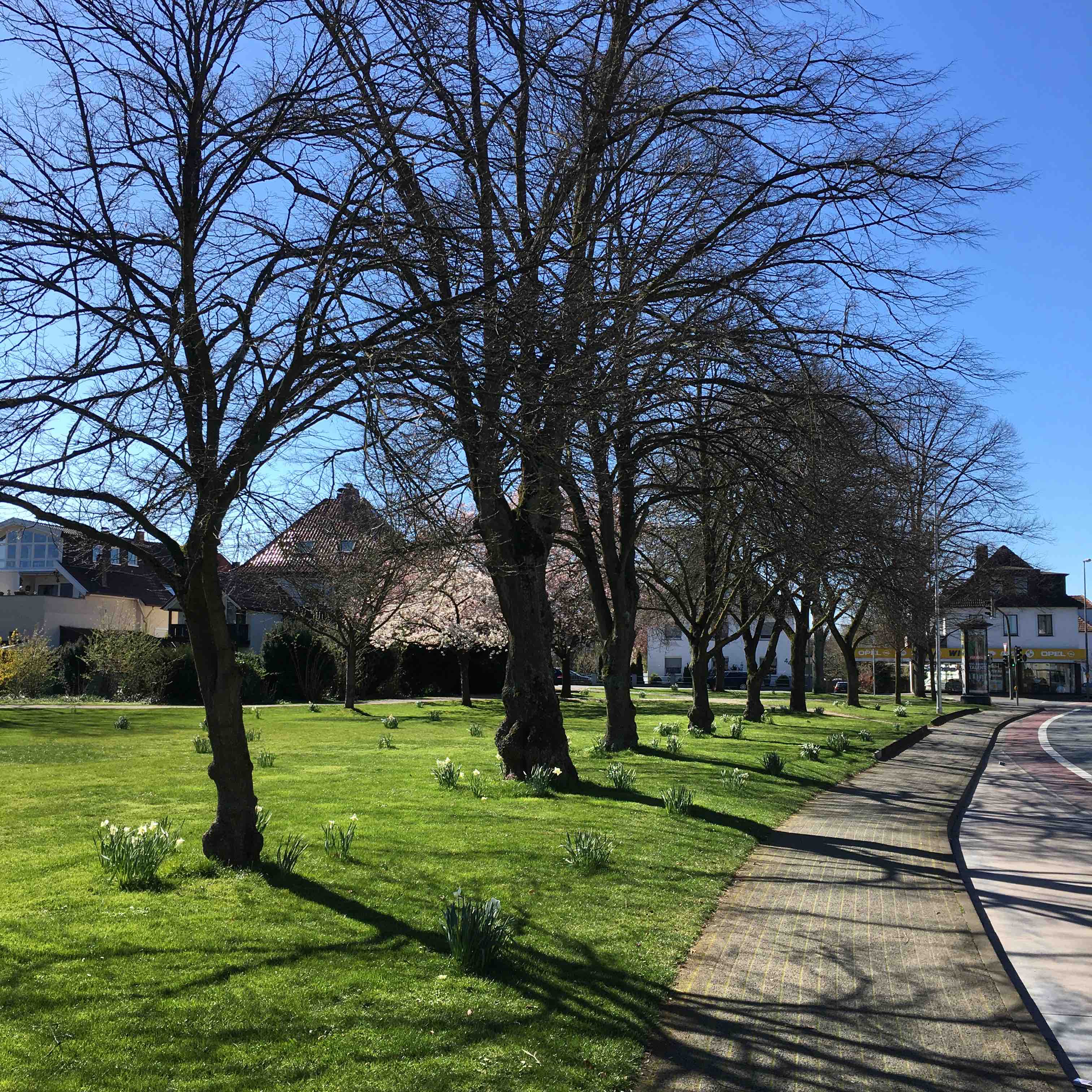 Fit durch Schritt logo