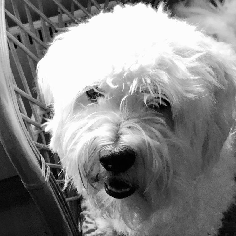 Elisa 🇫🇮 profile