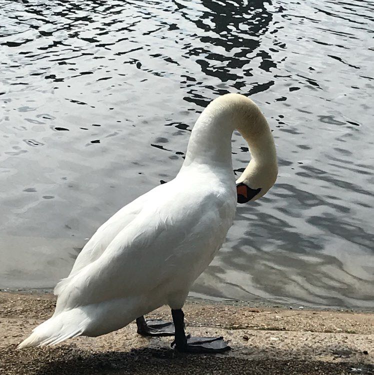 Edison Chiu-TW.Sales