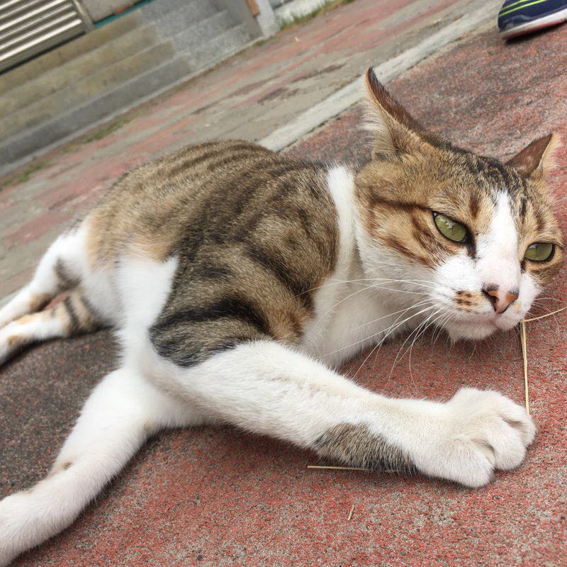 jn.chen-TW-Field Sales