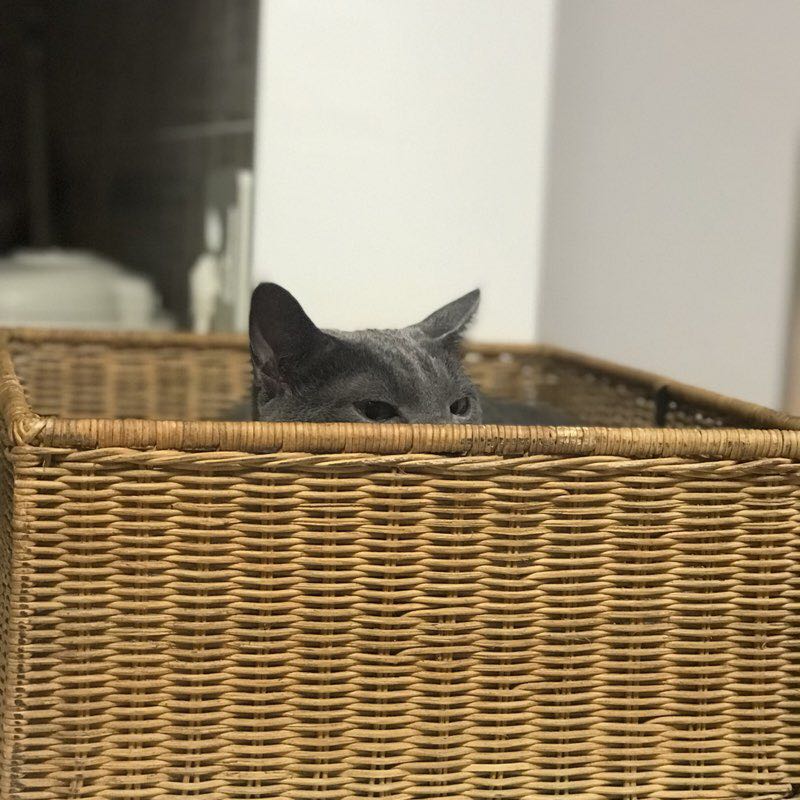 크리미