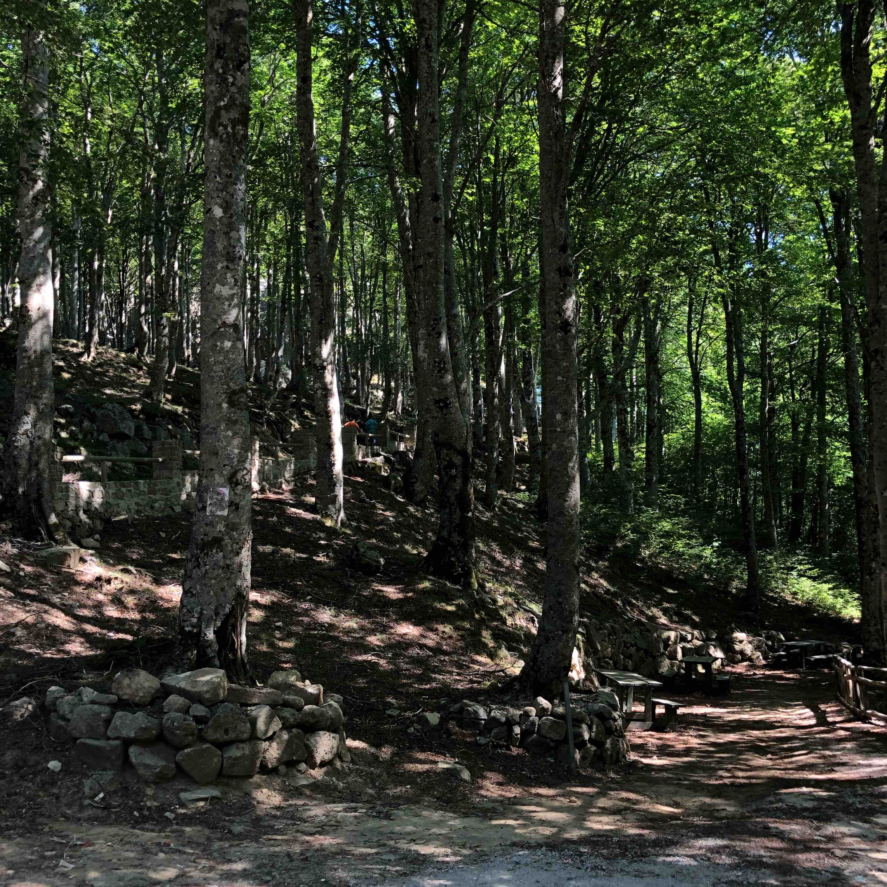 Parco Nazionale del Cilento logo