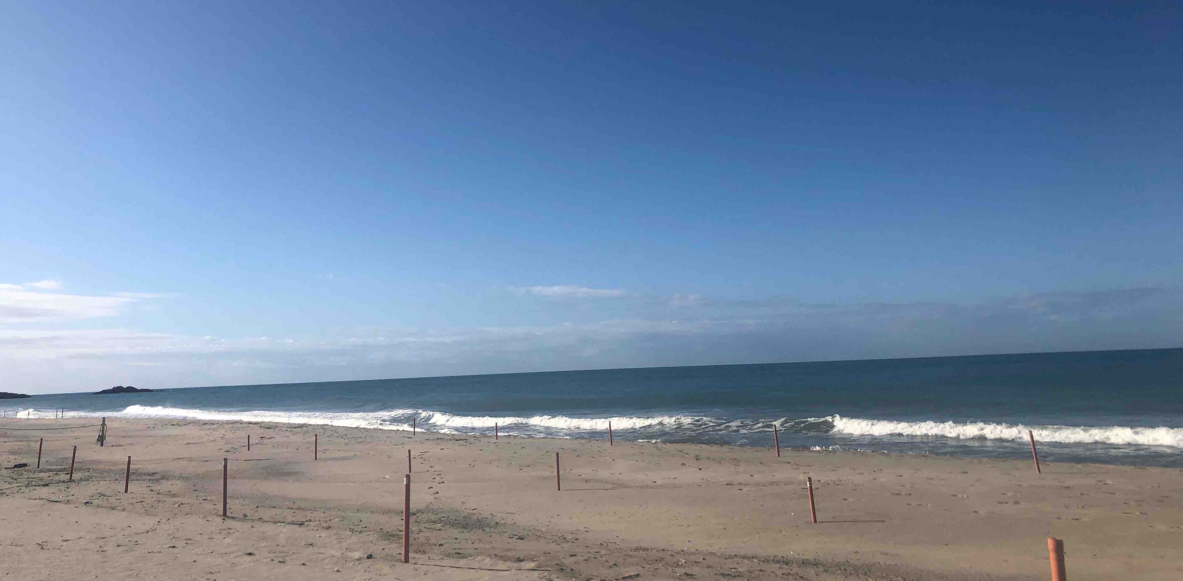 Parco Nazionale del Cilento banner