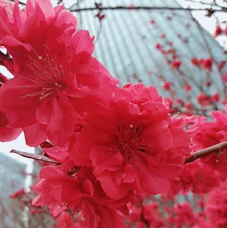 马兆荣